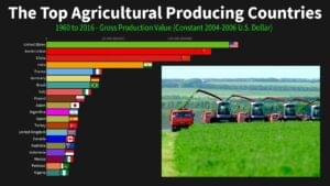 top 10 agricultural producing countries in the world